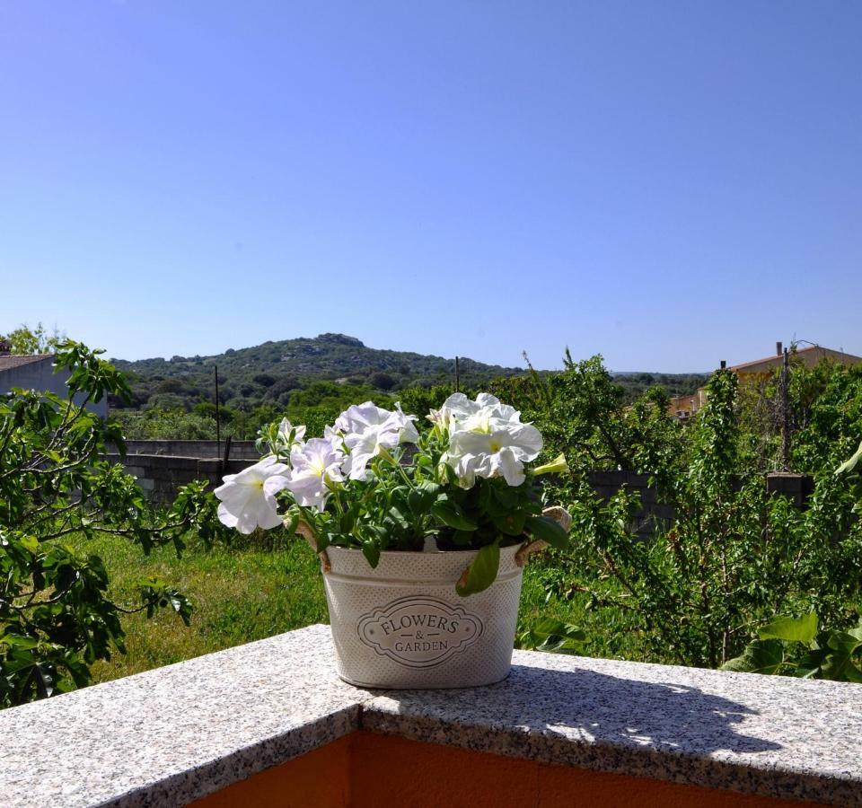 Casa Duminicheddha, mare e relax in Gallura Bassacutena Esterno foto