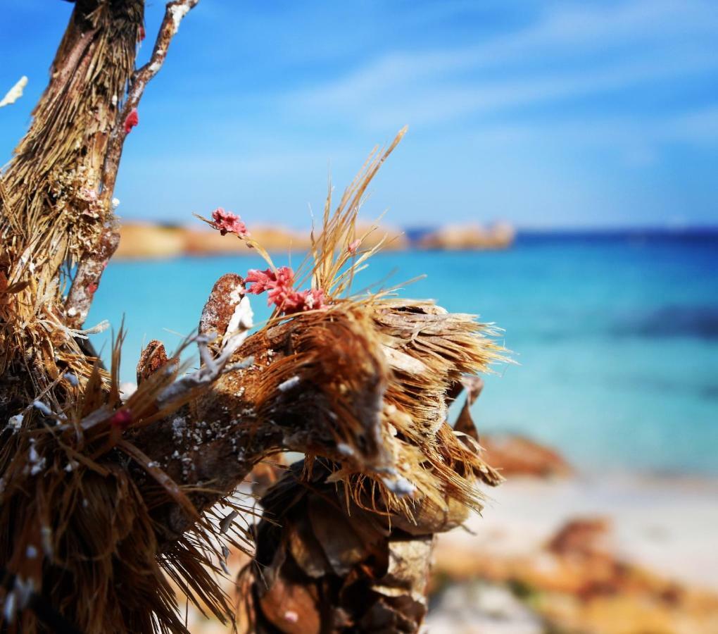 Casa Duminicheddha, mare e relax in Gallura Bassacutena Esterno foto